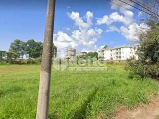 Área residencial disponível para venda no bairro Chácarras Tubalina e Quartel em Uberlândia-MG