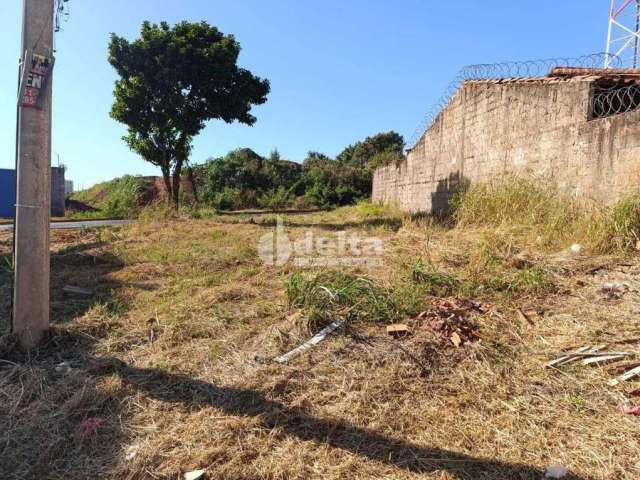 Terreno disponível para venda no bairro Santa Mônica em Uberlândia-MG