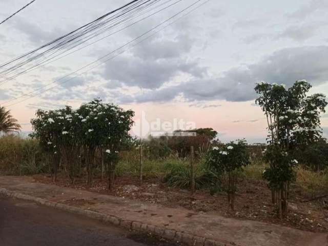 Terreno disponível para venda no bairro Cidade Jardim em Uberlândia-MG