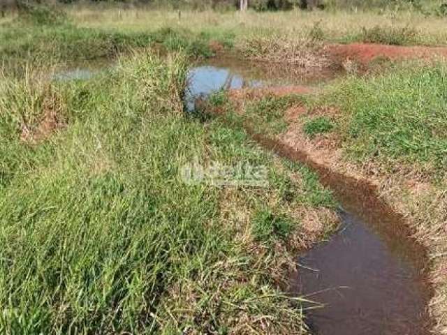 Galpão disponível para venda no bairro Zona Rural de Uberlândia em Uberlândia-MG