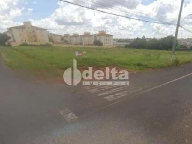 Área disponível para venda no bairro Chácaras Tubalina e Quartel em Uberlândia-MG