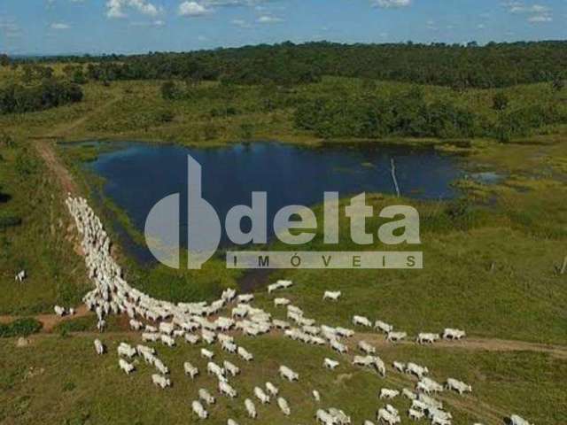 Fazenda disponível para venda na Zona Rural de Uberlândia em Uberlândia-MG