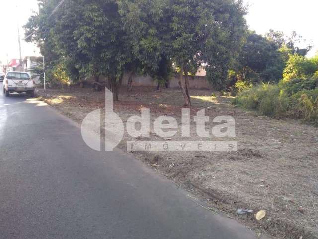 Terreno disponível para venda no bairro Luizote de Freitas em Uberlândia-MG