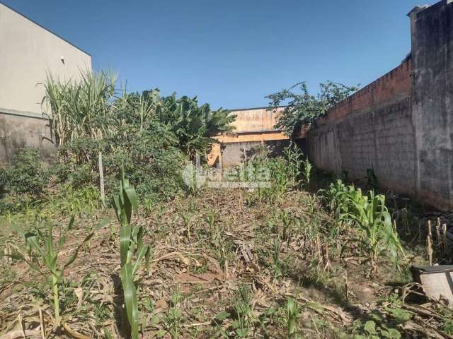 Terreno disponível para venda no bairro Tubalina em Uberlândia-MG