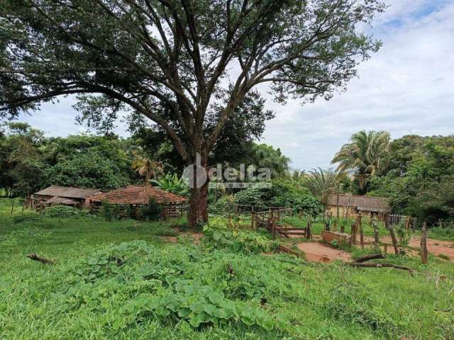 Fazenda disponível para venda na Zona Rural de Uberlândia em Uberlândia-MG