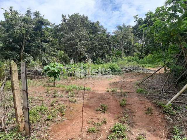 Terreno disponível para venda no bairro Área Rural de Uberlândia em Uberlândia-MG