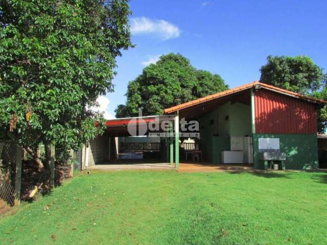 Chácara disponível para venda na Zona Rural de Uberlândia em Uberlândia-MG