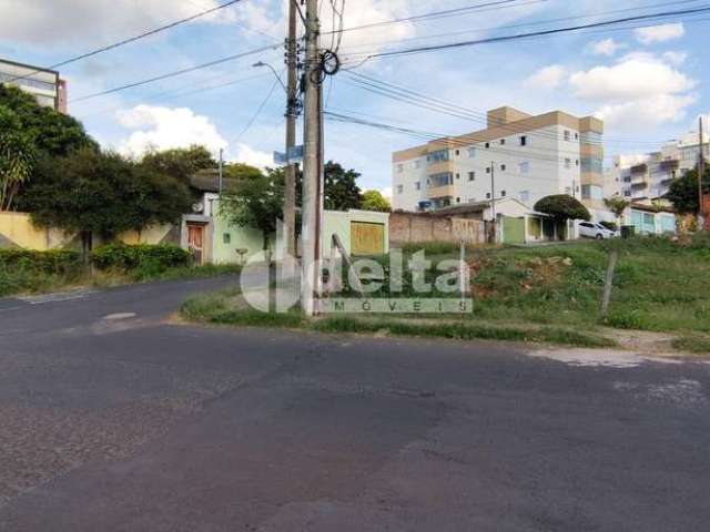 Terreno Padrão em Uberlândia