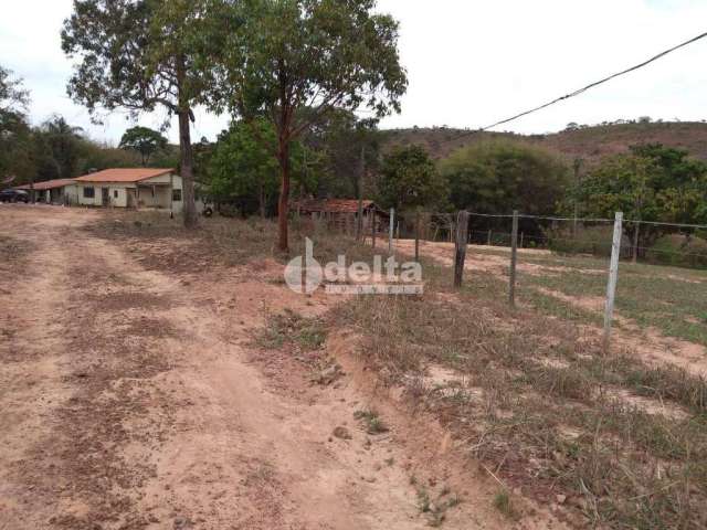 Fazenda disponível para venda na Zona Rural de Uberlândia em Uberlândia-MG