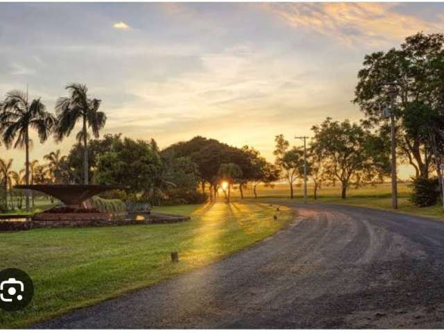 Lote no Condomínio Palmas Del Rey