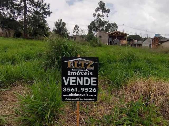 Terreno 250m² Bairro Campo Grande - Est. Velha