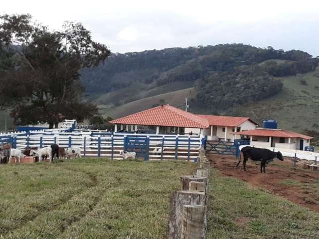 Fazenda para venda em Rio Espera - Minas Gerais