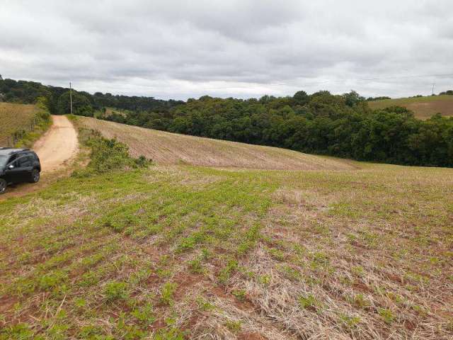 Chacara em quitandinha com 2 alqueres 6km do centro