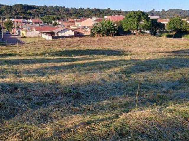 Loteamento de terrenos em araucaria bairro costeira proximo rotatoria maranhão