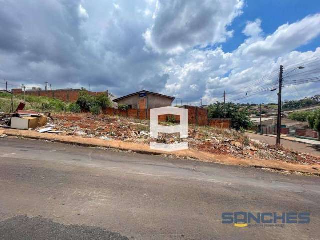 Terreno à venda, 200 m² por R$ 49.500,00 - Loteamento Sanches dos Santos - Apucarana/PR