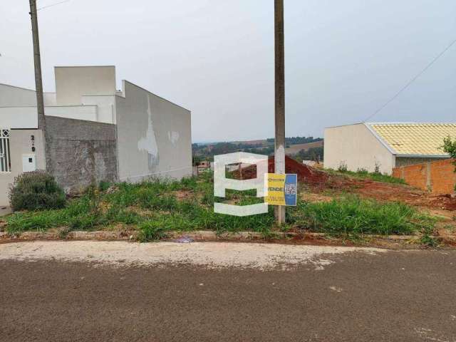 Terreno à venda, 300 m² por R$ 95.000,00 - Residencial Veneza - Apucarana/PR