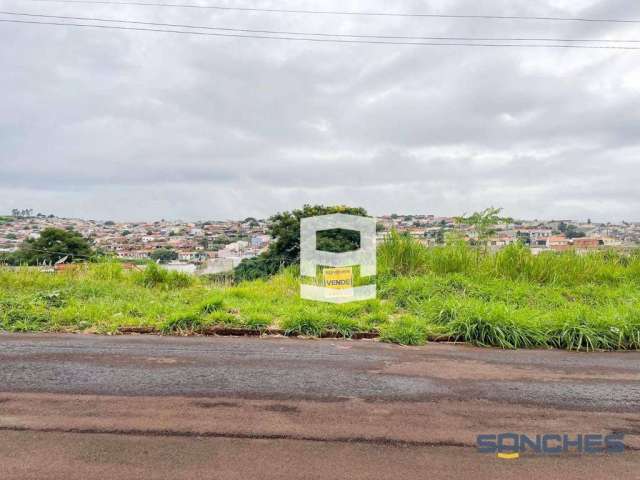 Terreno à venda, 275 m² por R$ 85.000 - Loteamento Residencial Interlagos 2 - Apucarana/PR