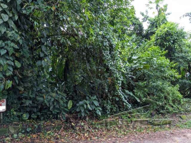 Ubatuba, Itamambuca - lote com 518,00 mts2, escritura definitiva, sem liberação ambiental em condomínio segurança 24 hs.