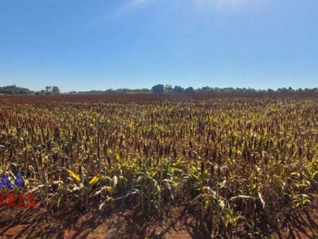 Área rural 6 hectares entrada cidade de Indianopolis