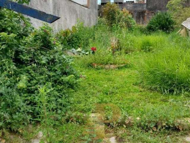 Terreno para Venda em Suzano, Vila Amorim