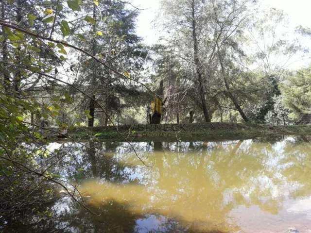 Sitio - Fazenda - Santo Antonio da Alegria - Lajinha - SP