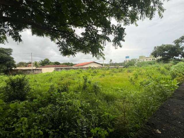 Excelente Terreno No Turu a 30 Metros da Avenida General Arthur Carvalho