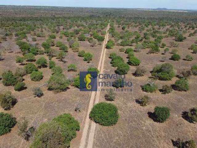 Fazenda à venda, 72600000 m² por R$ 225.000.000,00 - Zona Rural - Porto Nacional/TO