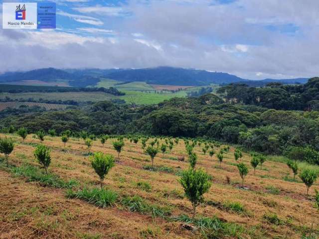 Fazenda para Venda em Campanha, SEM BAIRRO, 3 dormitórios, 2 suítes, 3 banheiros