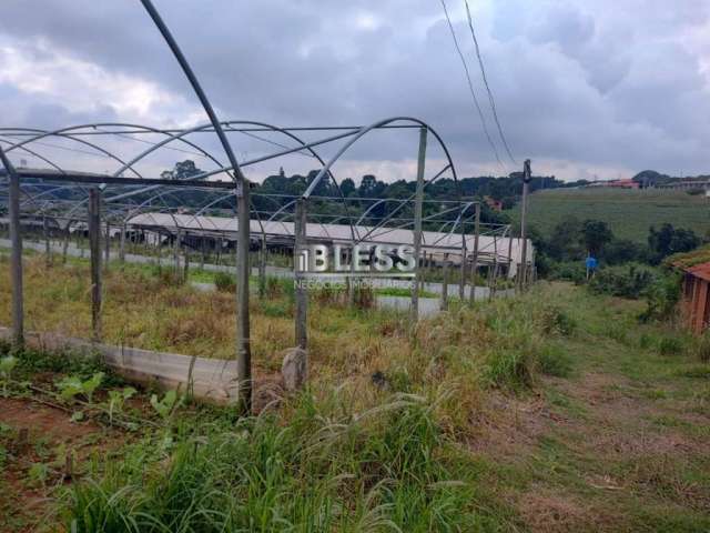 Terreno à venda, 35000 m² por R$ 8.750.000,00 - Bom Jardim - Jundiaí/SP