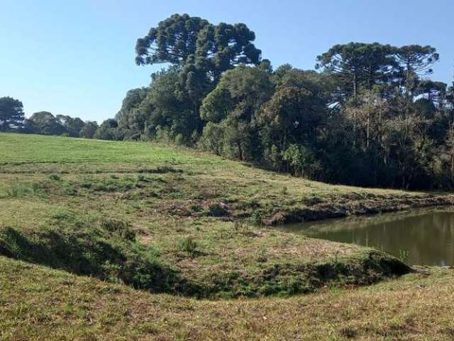 Bela chacara 90% limpa à 14 km do centro de S.J.Pinhais $ 2 milhões