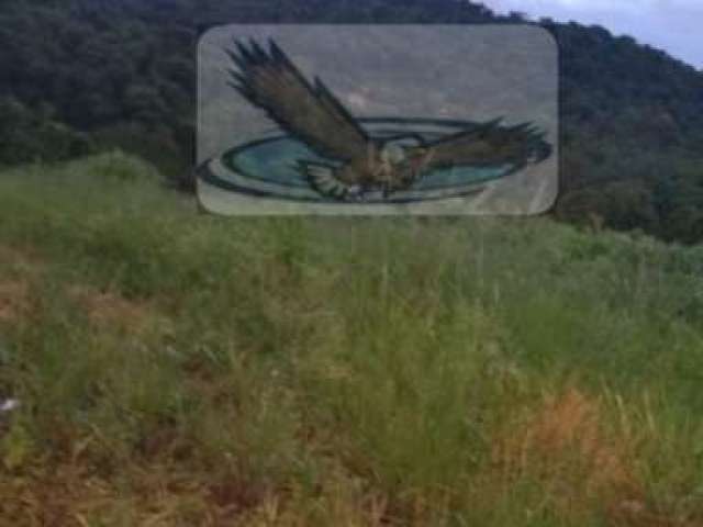 Terreno para Venda em Engenho Seco Louveira-SP