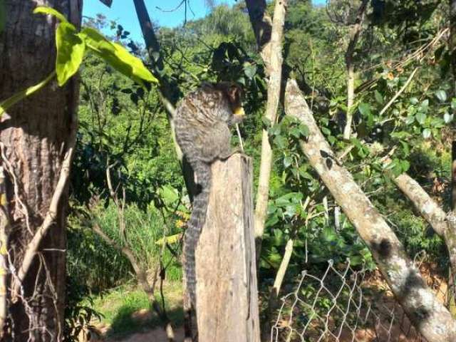 Chácara à venda no JOAQUIM EGÍDIO em Campinas/SP