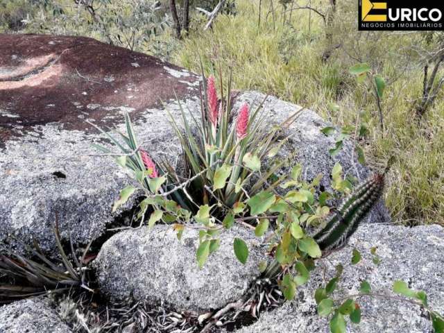 Terreno à venda no Parque Valinhos em Valinhos/SP