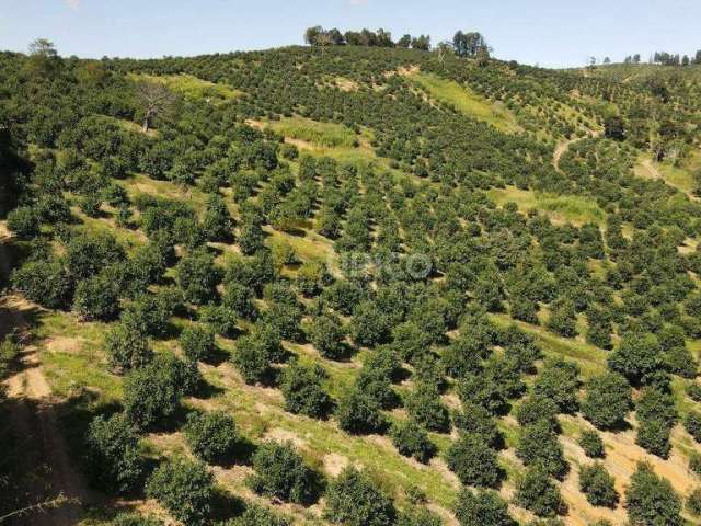 Fazenda à venda no Bairro Vale da Grama em São Sebastião da Grama/SP