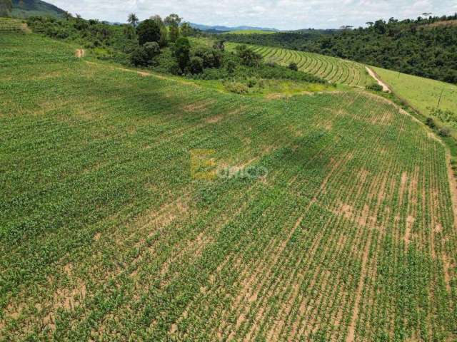 Fazenda à venda no Cachoeira do Carmo em Botelhos/MG