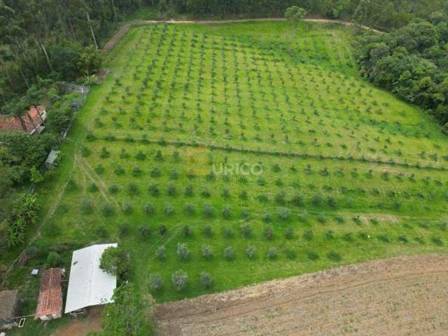 Fazenda à venda no Área Rural de Poços de Caldas em Poços de Caldas/MG