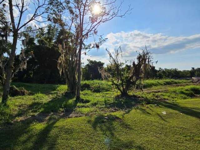 Terreno para Venda em Florianópolis, Ratones