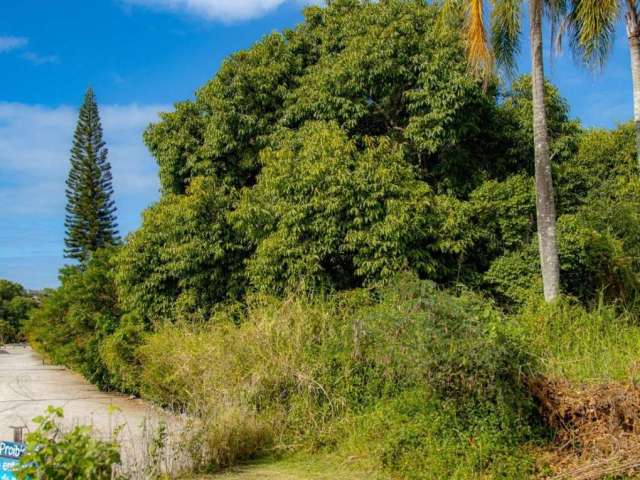 Terreno para Venda em Florianópolis, Lagoa Da Conceição