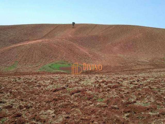 Sítio à venda, 774400 m² por R$ 4.300.000,00 - RIO APIAI - Ribeirão Branco/SP