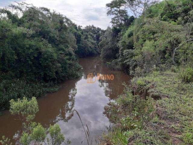 Sítio à venda, 12 Alqueires por R$ 1.440.000 - Zona Rural- Capela do Alto/SP