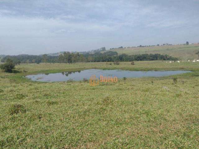 Sítio à venda, 12 Alqueires por R$ 2.500.000 - Área Rural - Itapetininga/SP