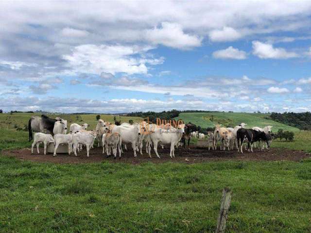 Fazenda à venda, 87 Alqueires por R$ 22.000.000 - Alambari/SP