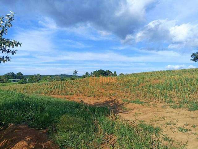 Sítio à venda, 11,7 Alqueires por R$ 3.000.000 - Zona Rural - Tatuí/SP