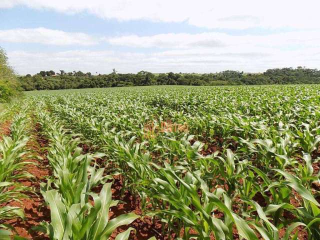 Sítio à venda, 38 Hectares por R$ 2.550.000