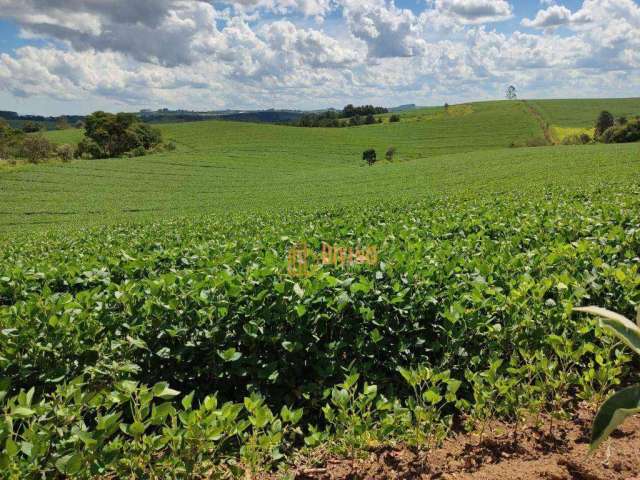 Sítio Produtivo à Venda em São Miguel Arcanjo, SP