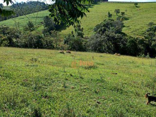 Sítio São Rafael à Venda, São Miguel Arcanjo - SP