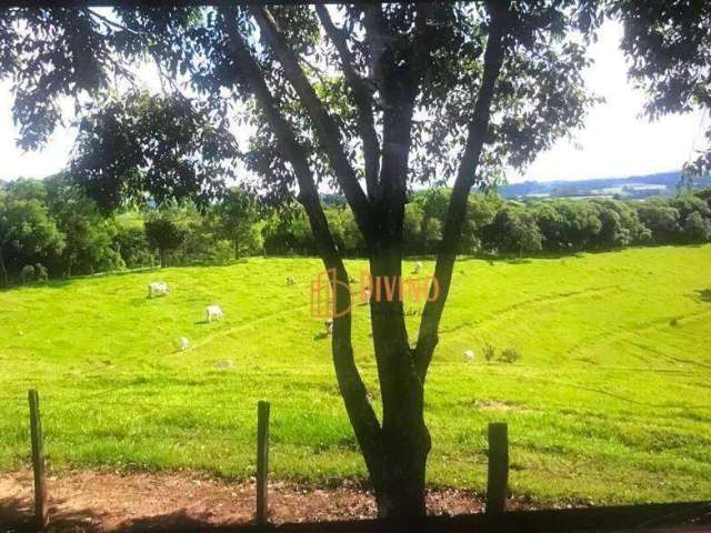 Sítio à Venda - Zona Rural entre Tatuí e Itapetininga/SP