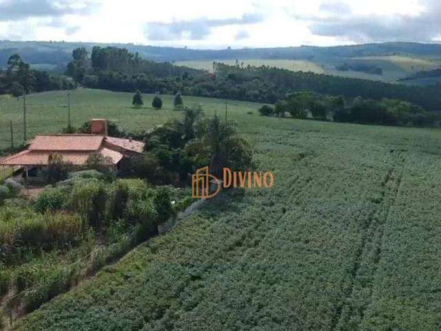 Sítio em Itaberá à Venda - Zona Rural