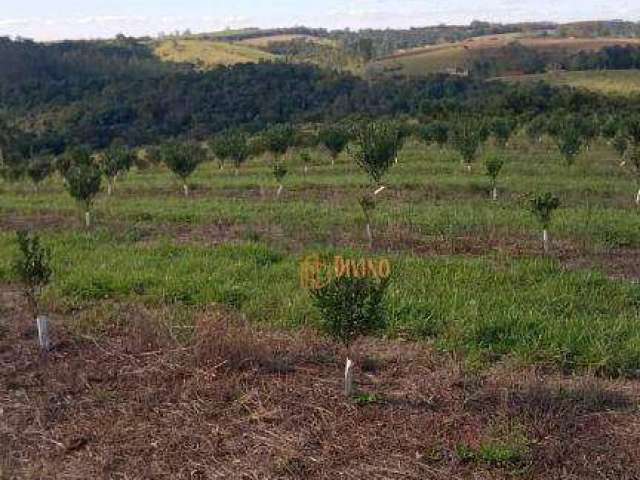 Sítio à Venda em São Miguel Arcanjo - SP