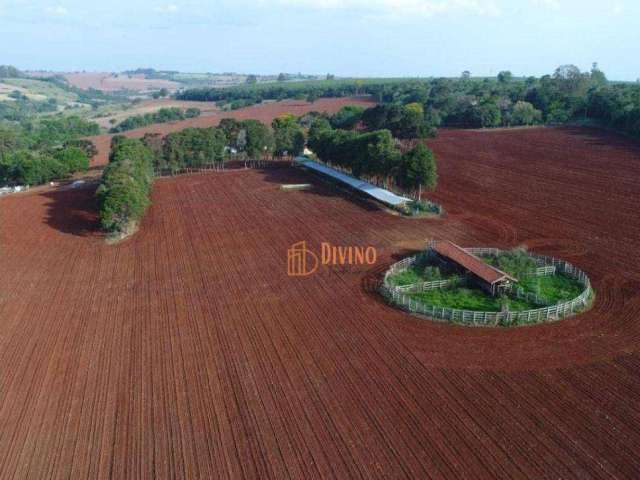 Fazenda à Venda em Itapetininga - SP